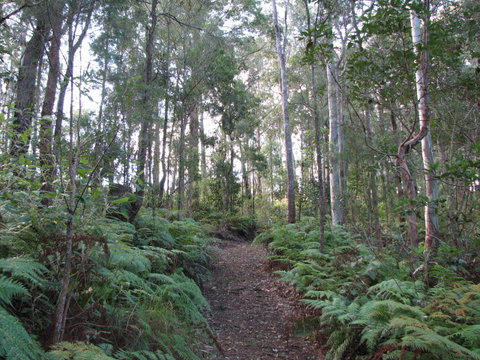 Maleny Country Cottages - Tourism Brisbane 1