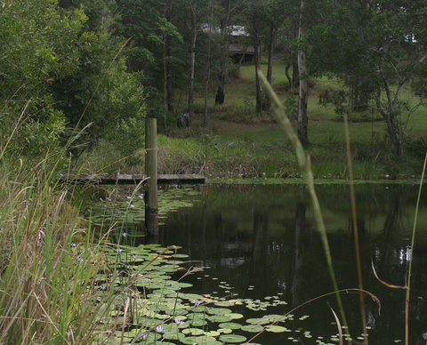 Maleny Country Cottages - Tourism Brisbane 4