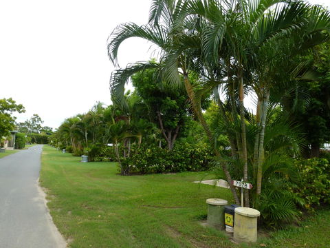Queens Beach Tourist Village - Brisbane 4u 6