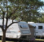 Active Holidays Cessnock Wine Country - Brisbane Tourism