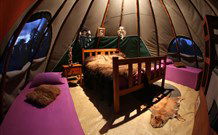 Aranyani Bison Adventure Tourist Park - Brisbane 4u 0