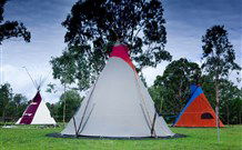 Aranyani Bison Adventure Tourist Park - Brisbane 4u 1