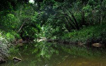 Aranyani Bison Adventure Tourist Park - Brisbane 4u 3