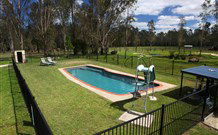 Aranyani Bison Adventure Tourist Park - Brisbane 4u 4