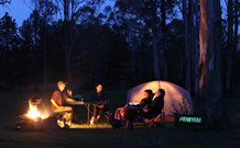 Aranyani Bison Adventure Tourist Park - Brisbane 4u 2