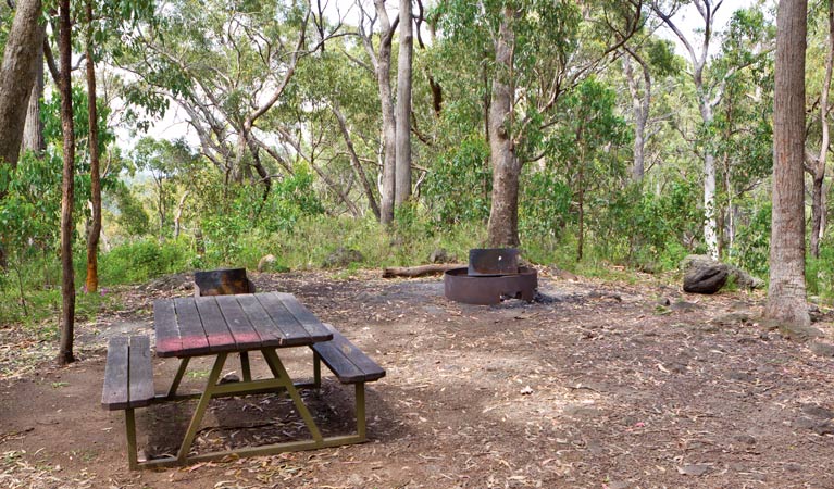 Kaputar NSW Tourism Brisbane