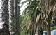 Barlings Beach Holiday Park - thumb 2
