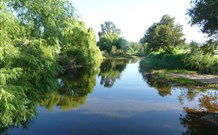 Bendemeer Tourist Park - Brisbane 4u 5