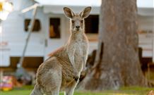 BIG4 Sunshine South West Rocks Holiday Park - South - Tourism Brisbane 3