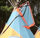 Central Coast Eco Tours - Brisbane 4u