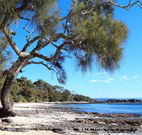 Currarong Beachside Holiday Park - Brisbane Tourism