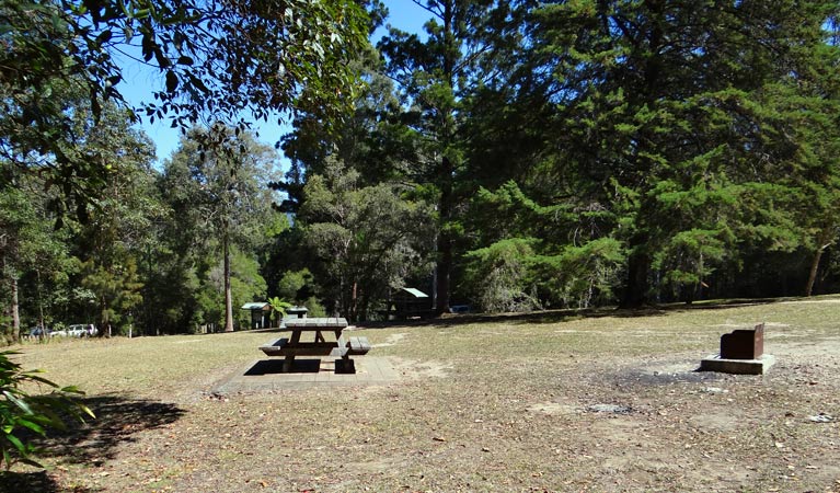 Mebbin NSW Tourism Brisbane