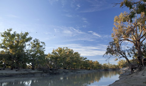 Darling River Campground - Tourism Brisbane 0