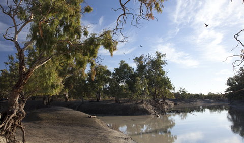 Darling River Campground - Tourism Brisbane 1