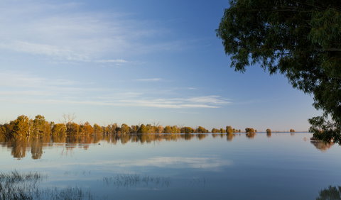 Darling River Campground - Tourism Brisbane 2