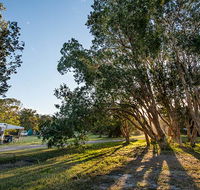 Delicate campground - Brisbane Tourism