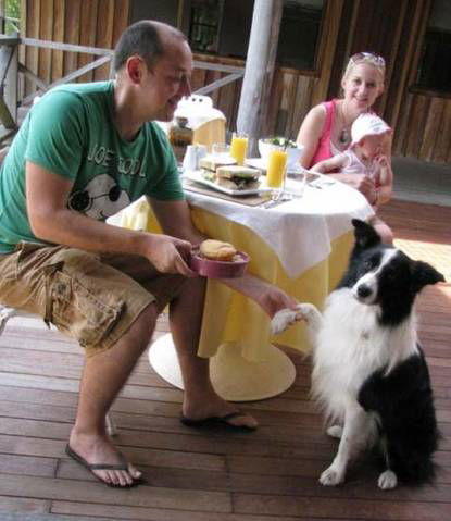 Riverwood Downs Mountain Valley Resort - Tourism Brisbane 2