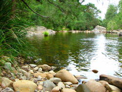 Riverwood Downs Mountain Valley Resort - Tourism Brisbane 7