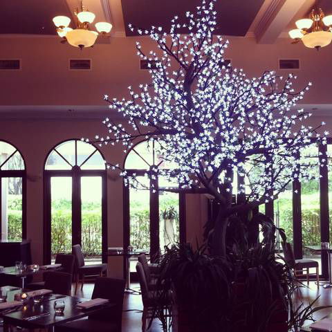 Shangri-La Gardens - Tourism Brisbane 1