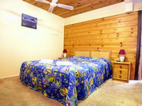 Shelly Beach Cabins - Brisbane Tourism 1