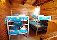 Shelly Beach Cabins - Brisbane Tourism 7
