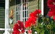 Sonja's Bed & Breakfast - thumb 0