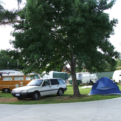 Sydney Tourist Park - Tourism Brisbane 0