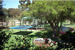 Tarcutta Halfway Motor Inn/Horse Hotel - Tourism Brisbane 5