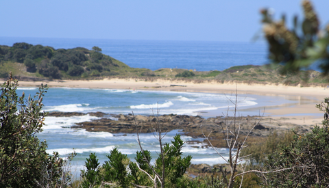 The Bowlo Holiday Cabins - Brisbane Tourism 0