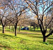 Wellington Caves Caravan Park - Tourism Brisbane