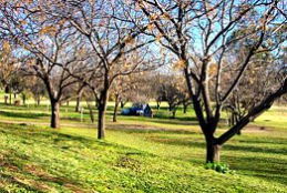 Wellington Caves Caravan Park - Tourism Brisbane 0