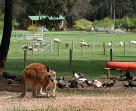 Diamond Forest Cottages And Farm Stay - Tourism Brisbane 0