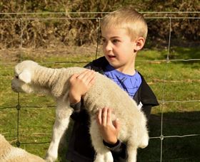 Diamond Forest Cottages And Farm Stay - Tourism Brisbane 1
