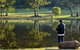 Diamond Forest Cottages And Farm Stay - thumb 3