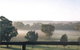 Settlers Rest Farmstay Swan Valley - thumb 3