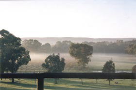 Settlers Rest Farmstay Swan Valley - Tourism Brisbane 3