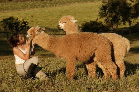 Settlers Rest Farmstay Swan Valley - Tourism Brisbane 2