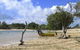 Lorella Springs Wilderness Park - thumb 8