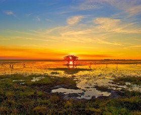 Wildman Wilderness Lodge - Tourism Brisbane 2