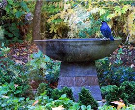 MossGrove Bed And Breakfast - Tourism Brisbane 4