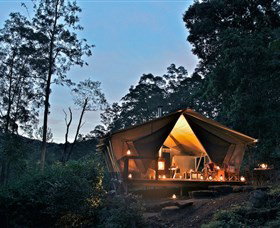 Nightfall Wilderness Camp - Tourism Brisbane 0