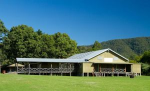 Riverwood Downs Mountain Valley Resort - Tourism Brisbane 10