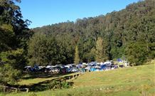 Ferndale Caravan Park - Brisbane Tourism 1