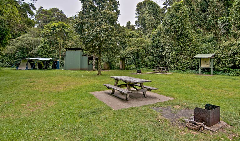 Lynchs Creek NSW Tourism Brisbane