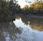 Four Mile Camping Reserve - Brisbane Tourism