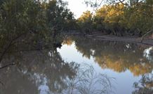 Four Mile Camping Reserve - Tourism Brisbane 0