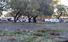 Four Mile Camping Reserve - Tourism Brisbane 1