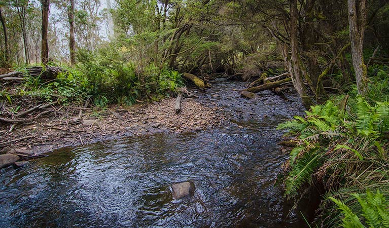 Moonan Brook NSW Tourism Brisbane