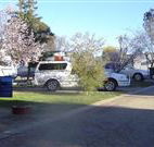 Horseshoe Motor Village - Tourism Brisbane