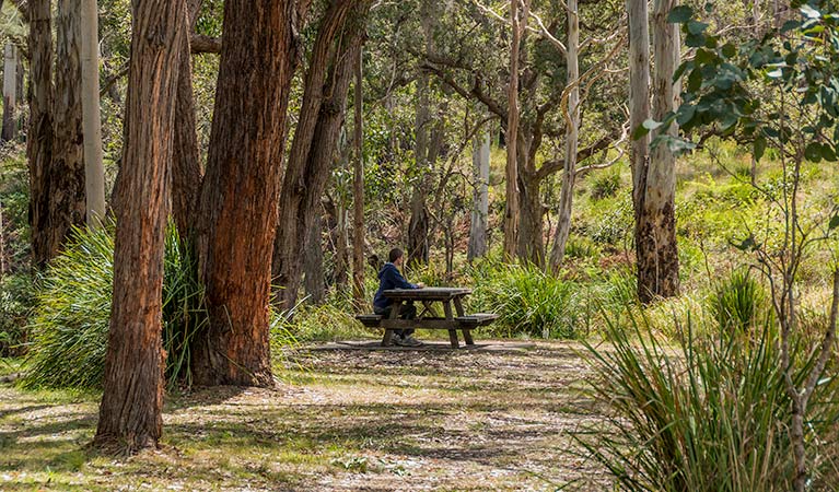 Muli Muli NSW Tourism Brisbane